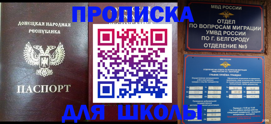 прописка для работы в Лузе